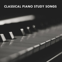 Beethoven's Sonata No 8 Pathetique III Rondo Allegro_Piano Pianissimo,Exam Study Classical Music,Exam Study Classical Music Orchestra