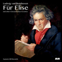 Turkish March_Wolfgang Amadeus Mozart