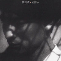 心酸_刘德华