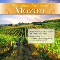 Divertimento in E-Flat Major for String Trio, K. 563: VI. Allegro_Wolfgang Amadeus Mozart,Various Artists