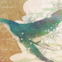 debris_Annabel