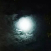 In the moonsong_V.A.,Kakami
