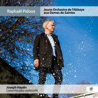 II. Adagio_Raphael Pidoux,Jeune Orchestre de l'Abbaye de Saintes