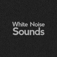 White Noise: Three Fans_White Noise
