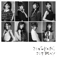 心のプラカード_AKB48