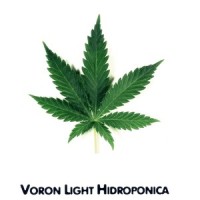 Do not Believe, do not Fear, Do not Ask_Voron Light,t.A.T.u.