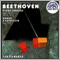 III. Rondo - Allegro comodo (第三乐章 回旋曲 - 从容的快板)_Jan Panenka