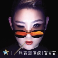 无表面伤痕_郑欣宜
