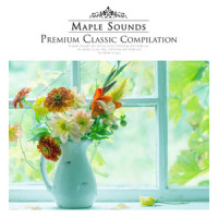 Mozart: Piano Sonata No.16 In C Major K.545 - I. Allegro_Wolfgang Amadeus Mozart