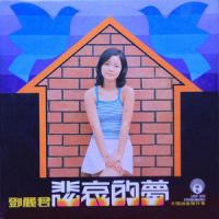 如果你是有情人_邓丽君