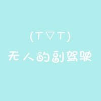 无人的副驾驶_封茗囧菌