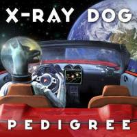 Bringer of Light_X-Ray Dog