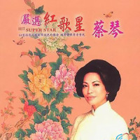 我的思念_蔡琴