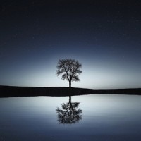 Healing Music_Musica Para Estudiar Academy,Nature Sounds for Sleep and Relaxation,Deep Sleep