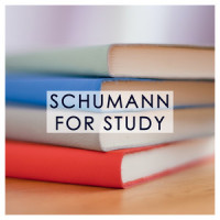 Schumann: Symphony No. 4 In D Minor, Op. 120 - 2. Romanze (Ziemlich langsam)_Michel Schwalbé,Berliner Philharmoniker,Herbert von Karajan