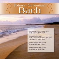 Violin Concerto No. 1 in A Minor, BWV 1041: III. Allegro assai_Classical Artists,Günter Kehr,Susanne Lautenbacher,Mainz Chamber Orchestra