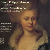 Trio for Recorder, Obbligato Harpsichord and Continuo in A Major, TWV 42:a1: II. Allegro_Lorenzo Cavasanti,Sergio Ciomei,Tripla Concordia