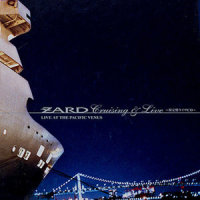 Don't You See!_ZARD