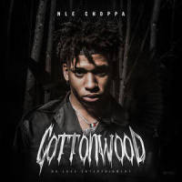 Matrix_NLE Choppa