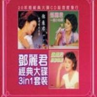 白沙滩_邓丽君