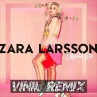 I Would Like_Vinil,Zara Larsson