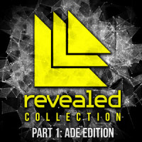 Never Say Goodbye_Hardwell,Dyro,Bright Lights