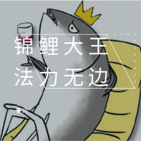 锦鲤大王法力无边_予词,陈亦洺