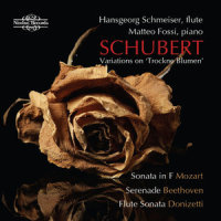 Introduction and Variations on 'Trockne Blumen' from Die schöne Müllerein D802 (1824): Theme. 'Trochne Blumen'. Andantino_Hansgeorg Schmeiser,Matteo Fossi