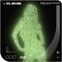 Feels So Good (feat. Kelli-Leigh)_Tiësto,Kelli-Leigh
