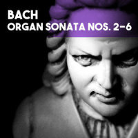 Organ Sonata No. 5 in C Major, BWV 529: I. Allegro_Ivan Sokol,Johann Sebastian Bach