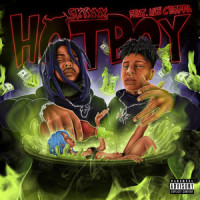 Hotboy (feat. NLE Choppa)_Skyxxx,NLE Choppa