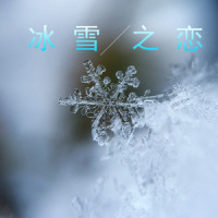 冰雪之恋_陈思思