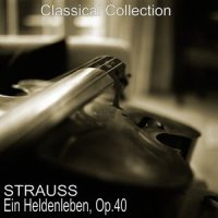 Ein Heldenleben, Op. 40: No. 2, Des Helden Widersacher_Berliner Philharmoniker,Herbert von Karajan,Michel Schwalbé