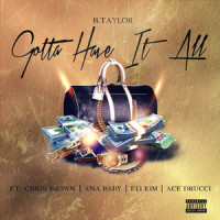 Gotta Have It All (feat. Chris Brown, Ana Baby, Eli Kim & Ace Drucci)_B.Taylor,Eli Kim,Ace Drucci,Chris Brown,Ana Baby