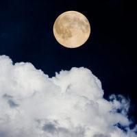 Soothing Meditation_Spa,Musica Relajante,Spa Music Collective