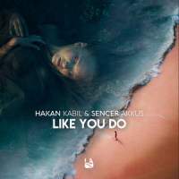 Like You Do_Hakan Kabil,Sencer Akkus,Romy Wave