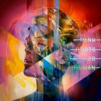 Can We Pretend_P!NK,Cash Cash