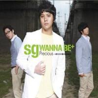向着夜空_SG Wannabe