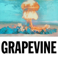 Grapevine_Tiësto