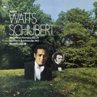 I. Allegro con fuoco, ma non troppo (第一乐章 不太急的热烈的快板)_Andre Watts,Franz Schubert