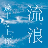 流浪途中爱上你_叶蓓