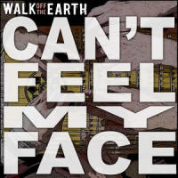 Can't Feel My Face_Walk Off the Earth
