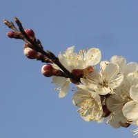 这一路有你_邹清华,王丽达