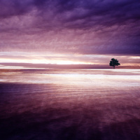 Solitude_Feint,Coma