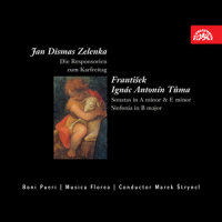 Die Responsorien zum Karfreitag, ZWV 55: IX. Caligaberunt oculi mei_Jan Dismas Zelenka,Marek Stryncl,Pavel Horak,Jakub Martinec