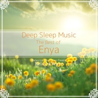 The Memory of Trees_Relax α Wave