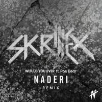 Would You Ever_Naderi,Skrillex,Poo Bear