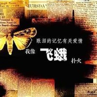 飞蛾_丁丁