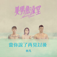 当你说了再见以后_林凡
