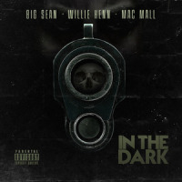 In the Dark_Willie Hen,Mac Mall,Big Sean